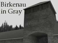Birkenau in Gray