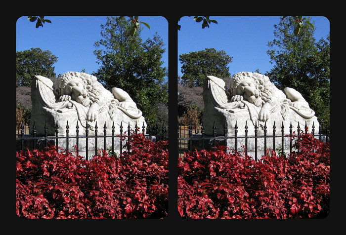 Confederate Lion